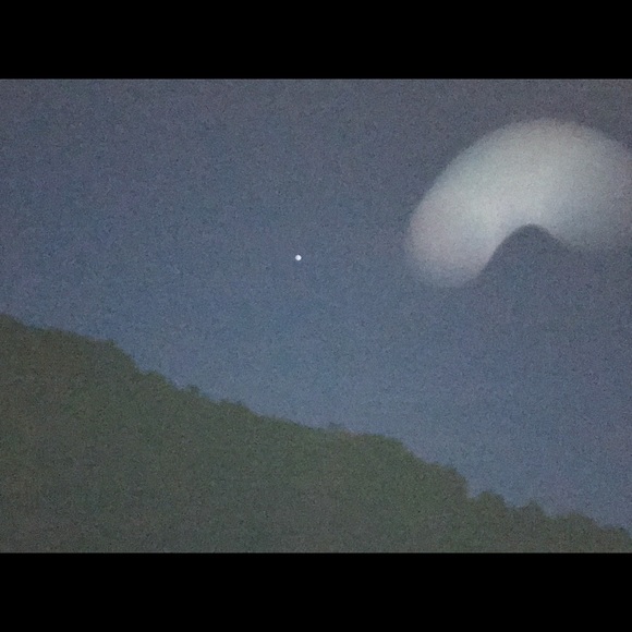 Meet your Posher, Ryleigh - Picture 1 of 1